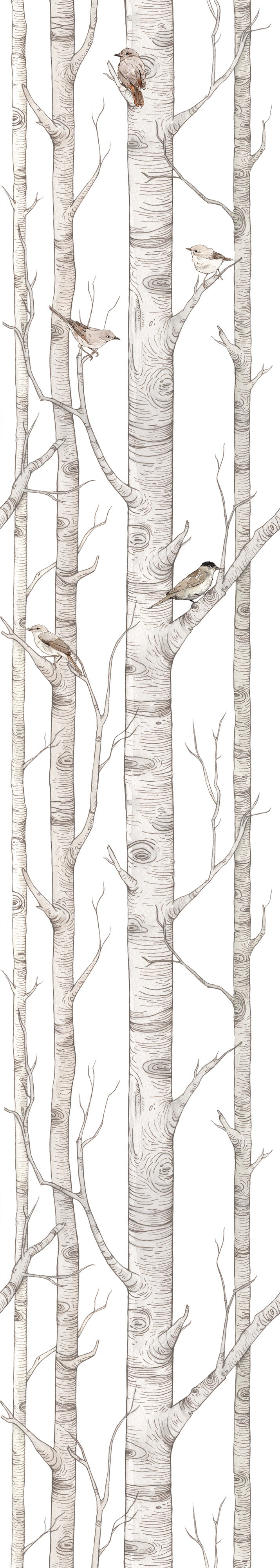 Birch Forest Wallpaper