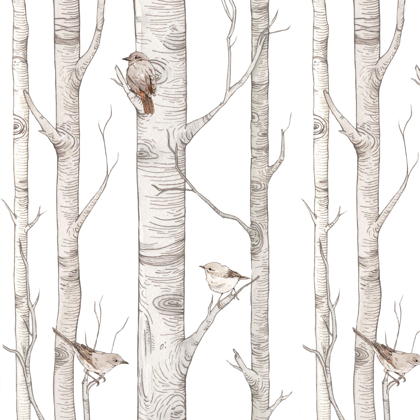 Birch Forest Wallpaper