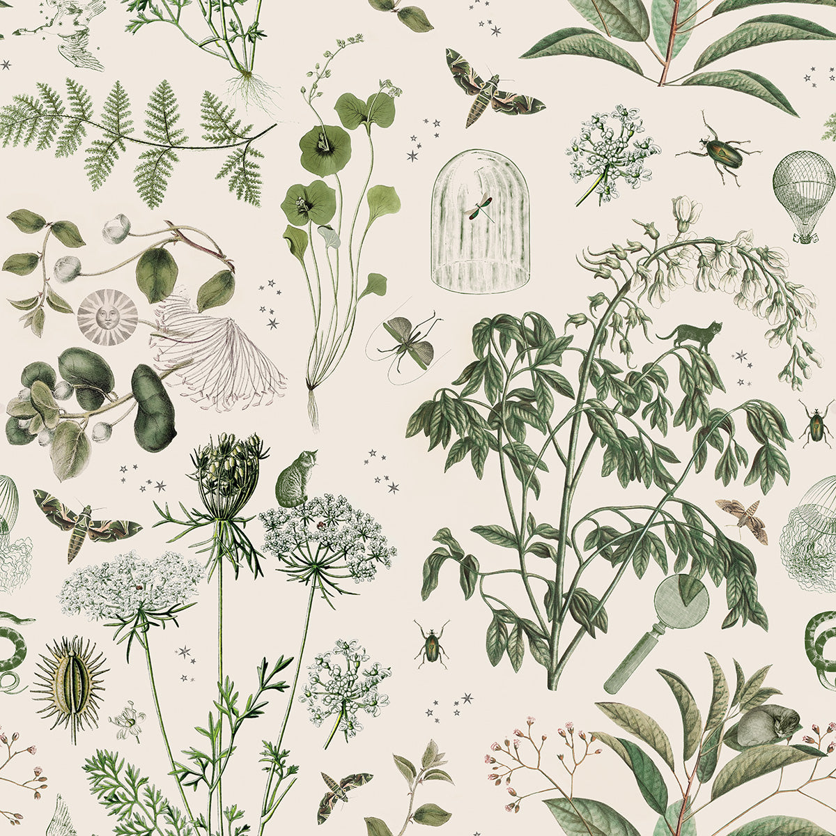 Green Botanical Stories Wallpaper
