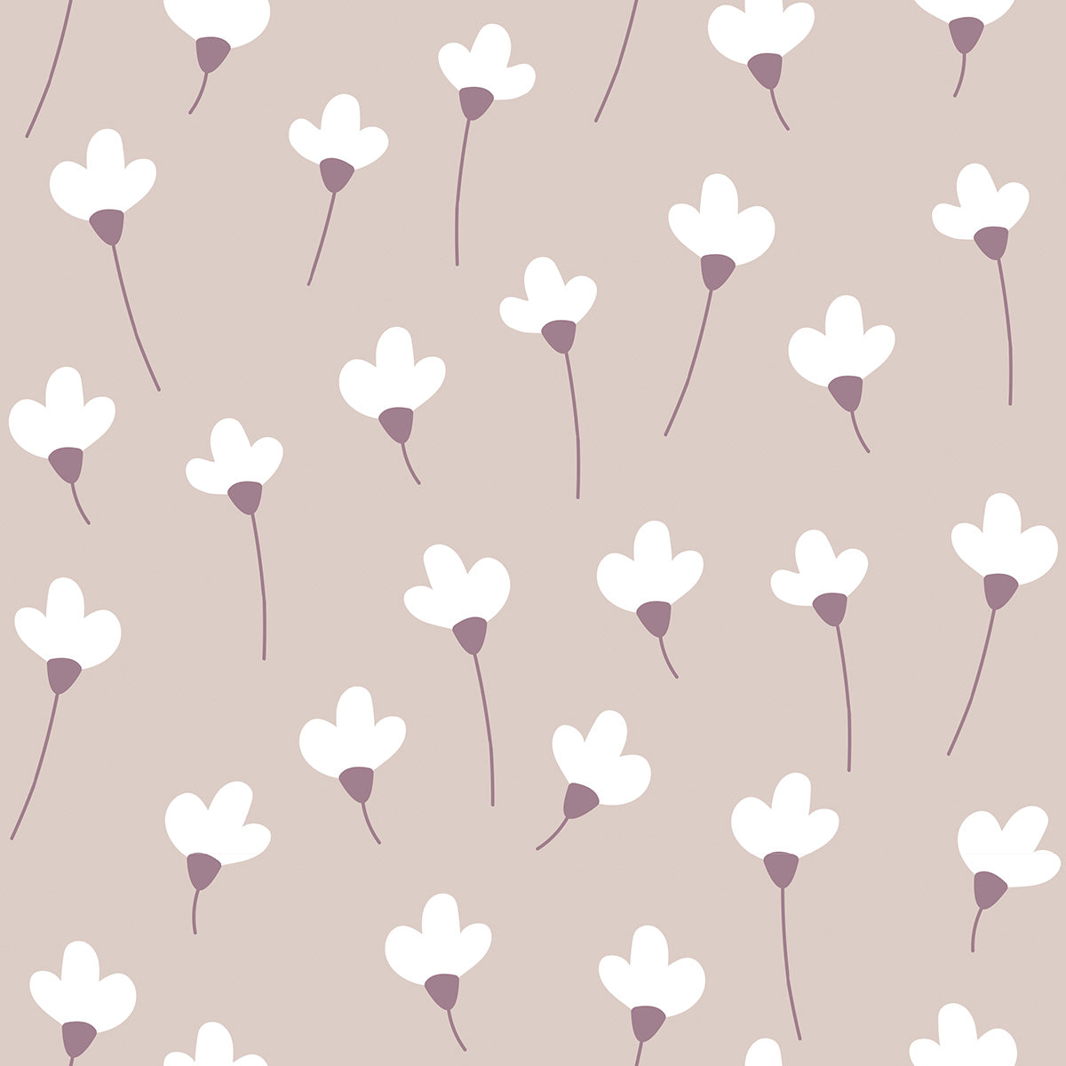Daisies on Powder Pink Wallpaper