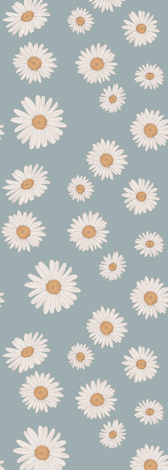 Tuscan Daisies Blue Wallpaper