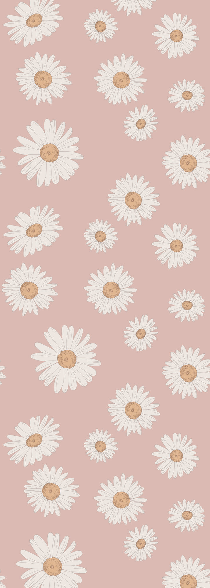 Tuscan Daisies Pink Wallpaper