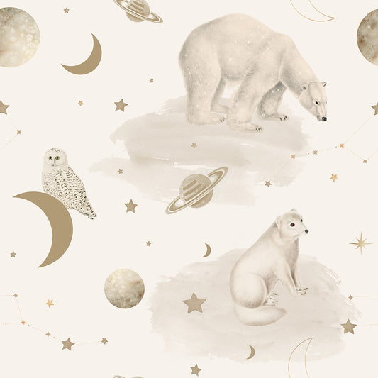 Bears Universe Wallpaper